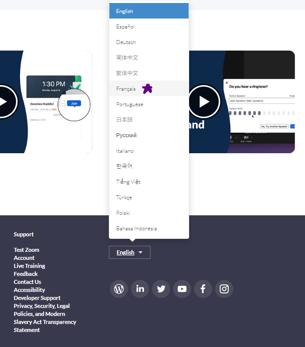 Zoom Support Language Menu